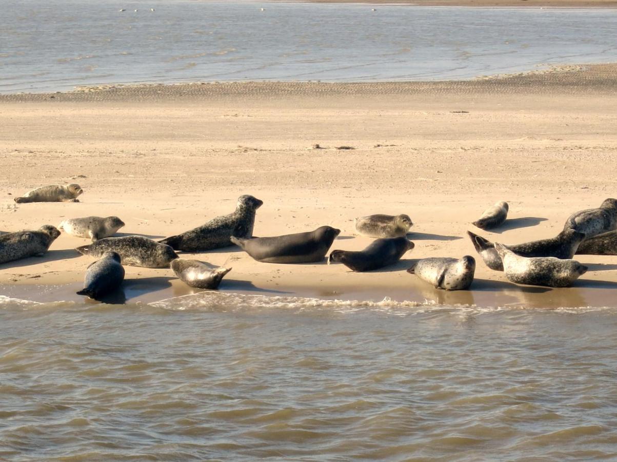 Huus Wattenmeer In Nessmersiel An Der Nordsee Dornum Exterior foto